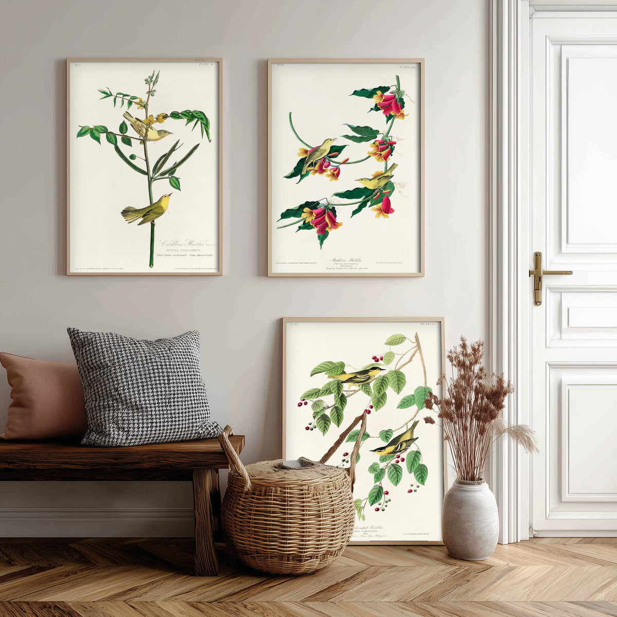 Set of Three John James Audubon Prints - Children's Rathbone and Carbonated Warblers - 3 Bird Paintings Poster Wall Art Illustration