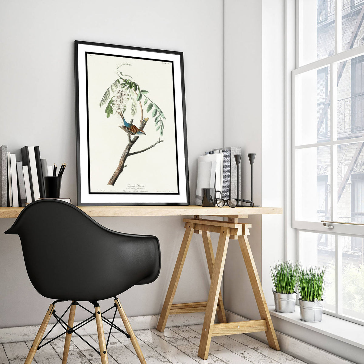 Chipping Sparrow Art Print - John James Audubon Poster - Birds of America Vintage Illustration