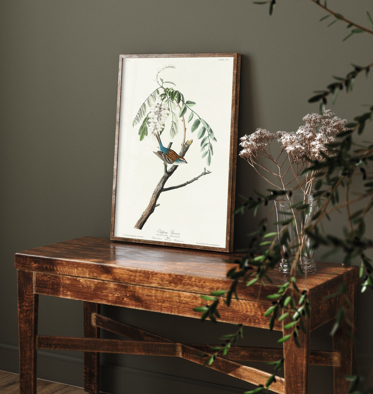 Chipping Sparrow Art Print - John James Audubon Poster - Birds of America Vintage Illustration