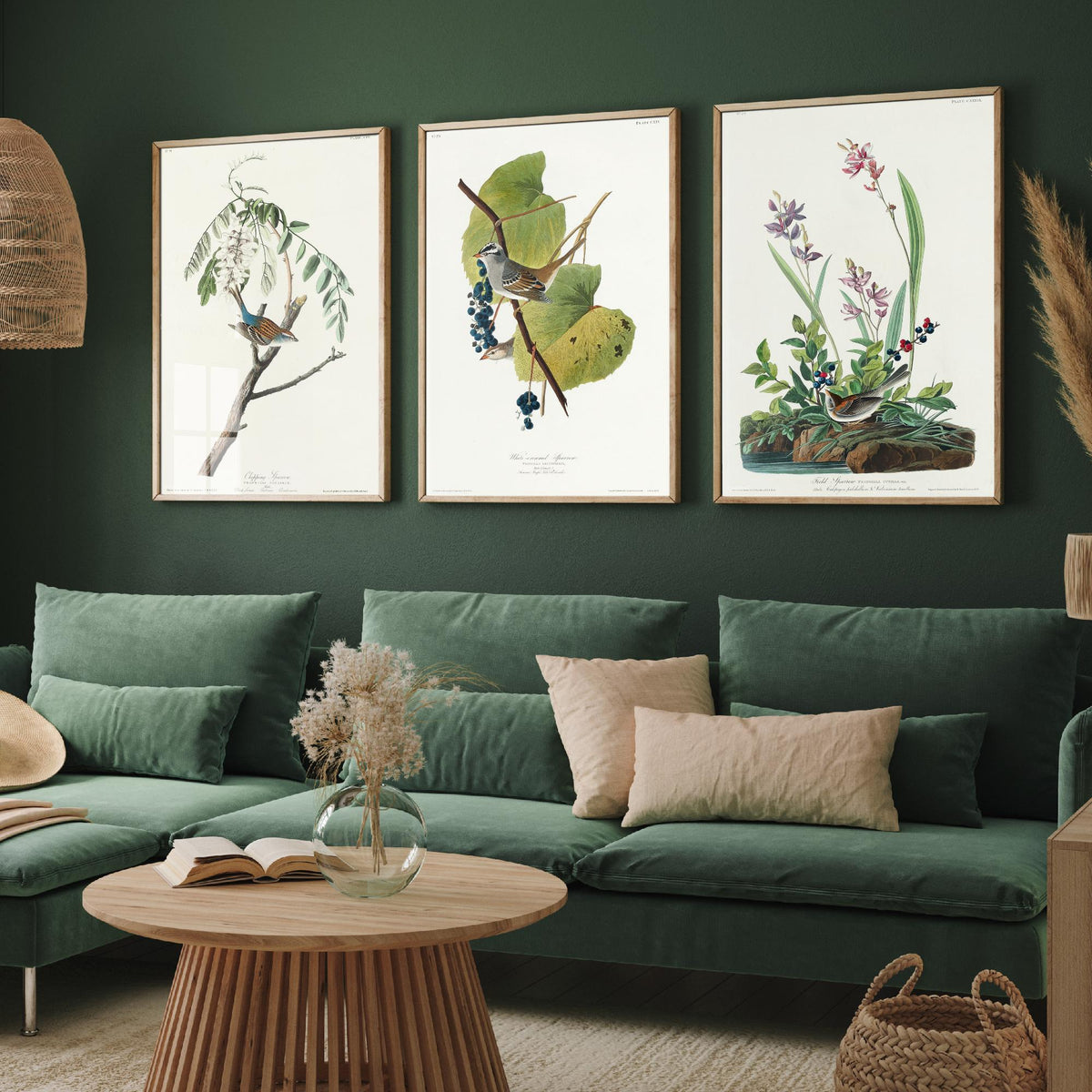 Set of Three John James Audubon Prints - Chipping White-crowned and Field Sparrows - 3 Bird Paintings Poster Wall Art Illustration