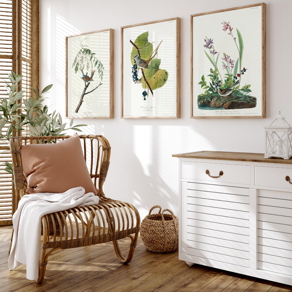 Set of Three John James Audubon Prints - Chipping White-crowned and Field Sparrows - 3 Bird Paintings Poster Wall Art Illustration