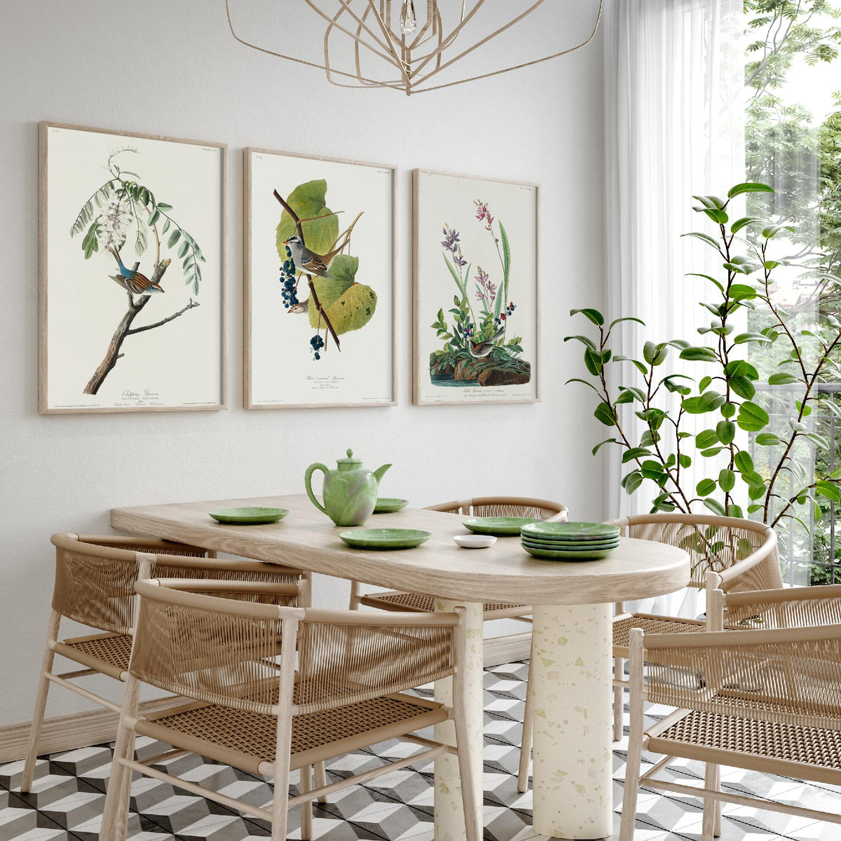 Set of Three John James Audubon Prints - Chipping White-crowned and Field Sparrows - 3 Bird Paintings Poster Wall Art Illustration
