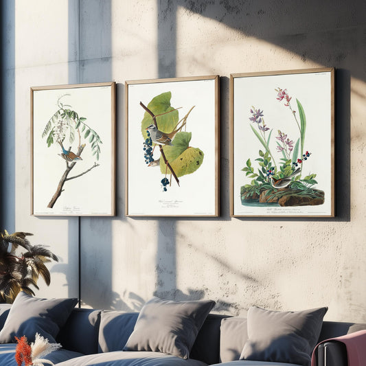 Set of Three John James Audubon Prints - Chipping White-crowned and Field Sparrows - 3 Bird Paintings Poster Wall Art Illustration