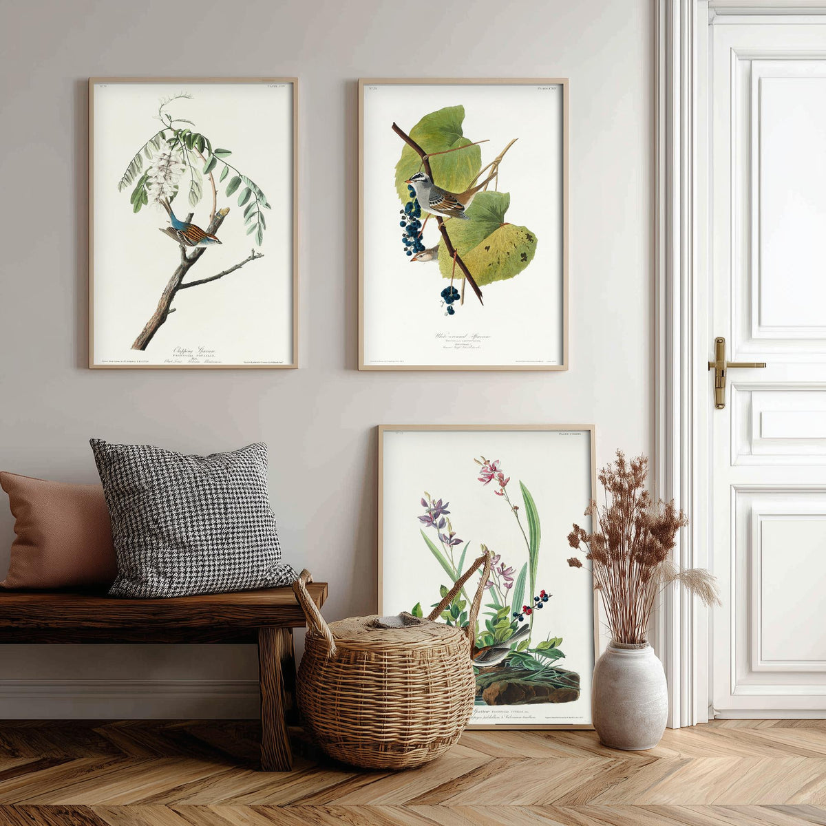 Set of Three John James Audubon Prints - Chipping White-crowned and Field Sparrows - 3 Bird Paintings Poster Wall Art Illustration