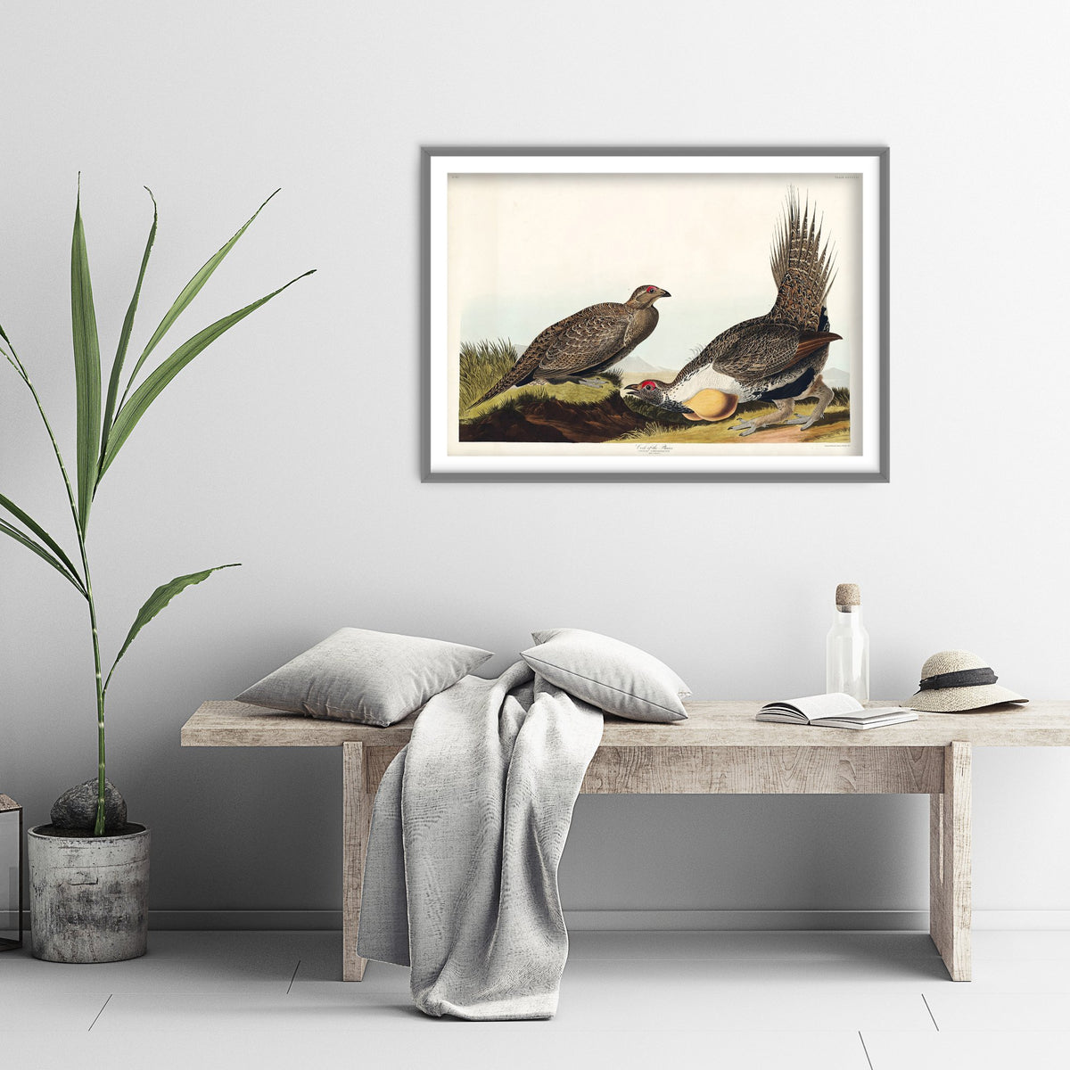 Greater Sage Grouse Art Print - John James Audubon Poster - Birds of America Vintage Illustration