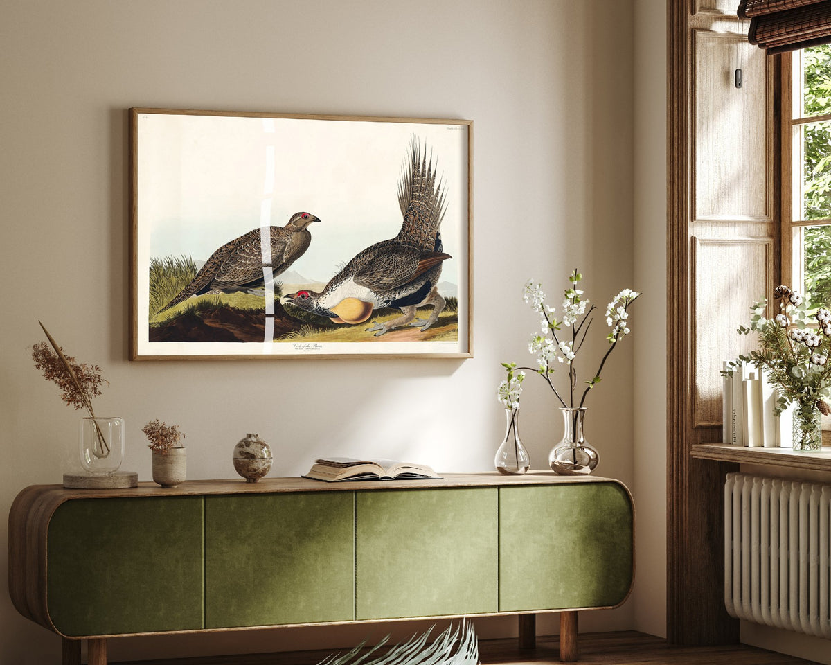 Greater Sage Grouse Art Print - John James Audubon Poster - Birds of America Vintage Illustration