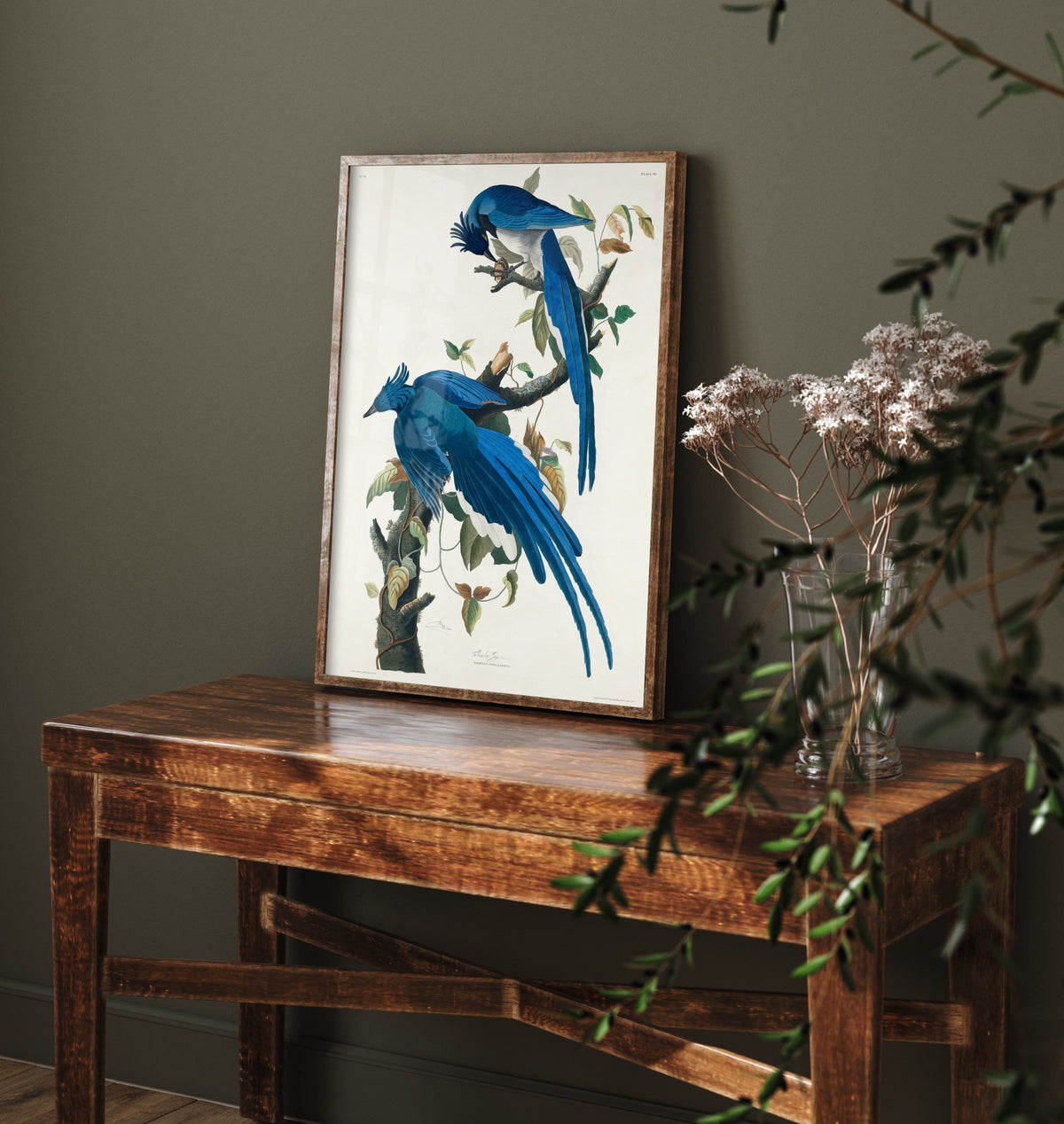 Black Throated Magpie Jay Art Print - John James Audubon Poster - Birds of America Vintage Illustration