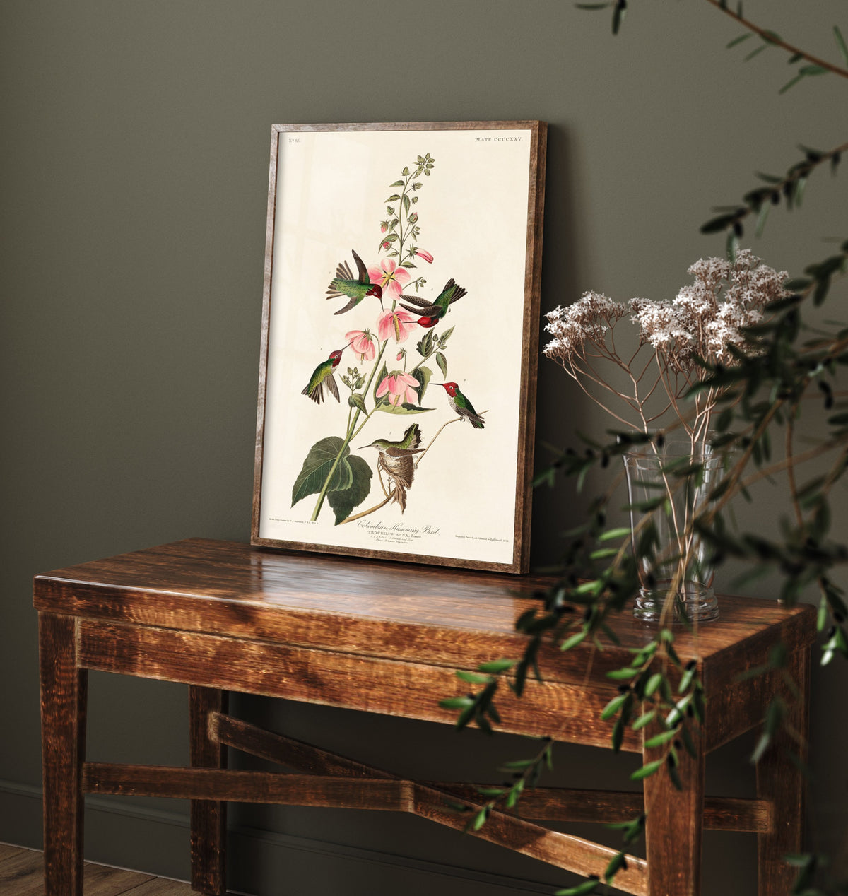 Anna's Hummingbird Art Print - John James Audubon Poster - Birds of America Vintage Illustration