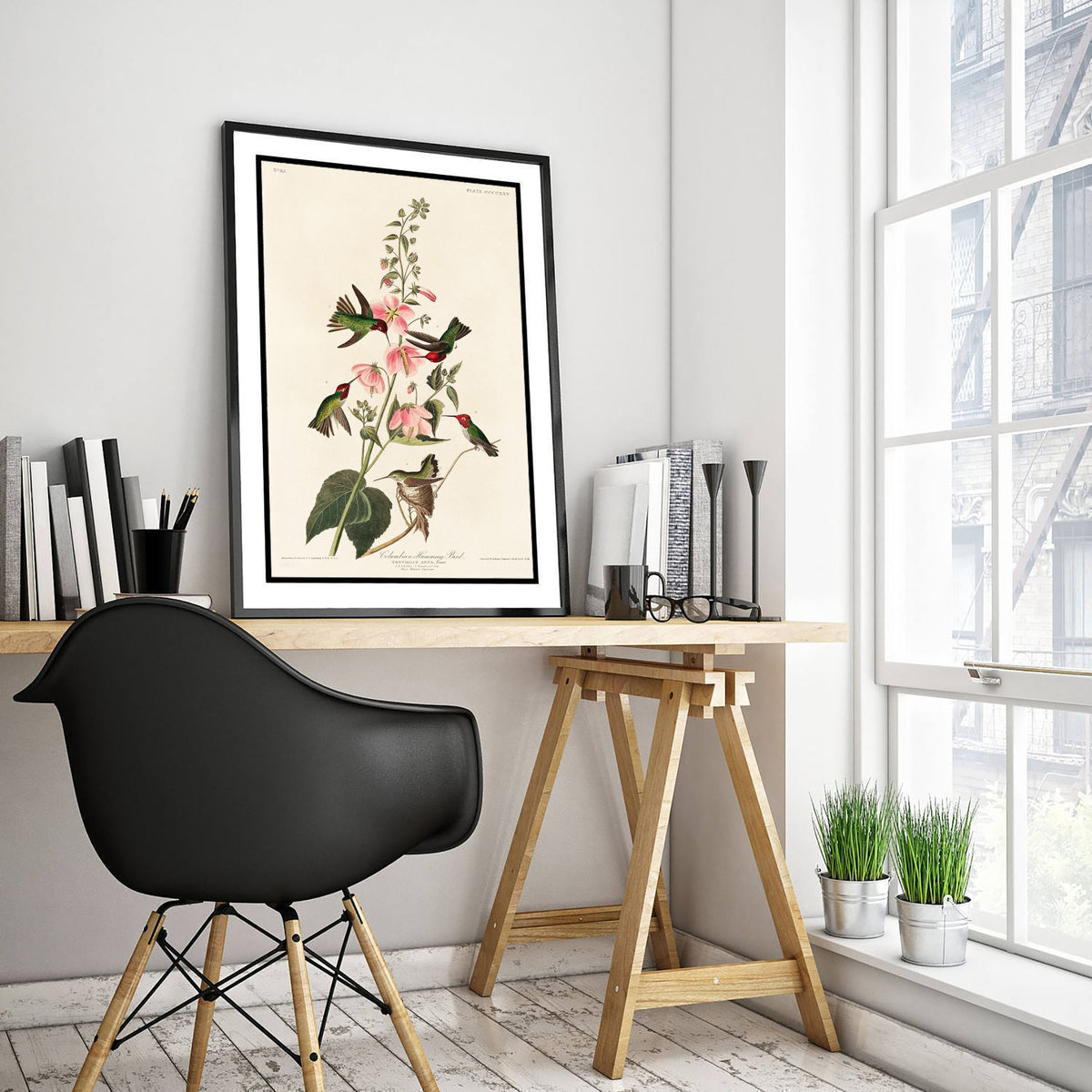 Anna's Hummingbird Art Print - John James Audubon Poster - Birds of America Vintage Illustration