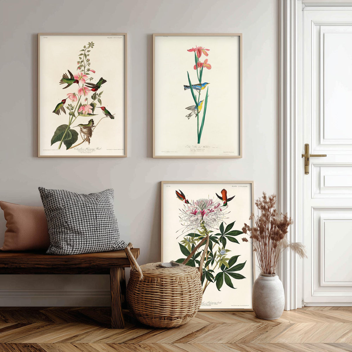 Set of Three Audubon Prints - Columbian Ruff-necked Hummingbirds Yellow-backed Warbler - 3 Bird Paintings Poster Wall Art Illustration