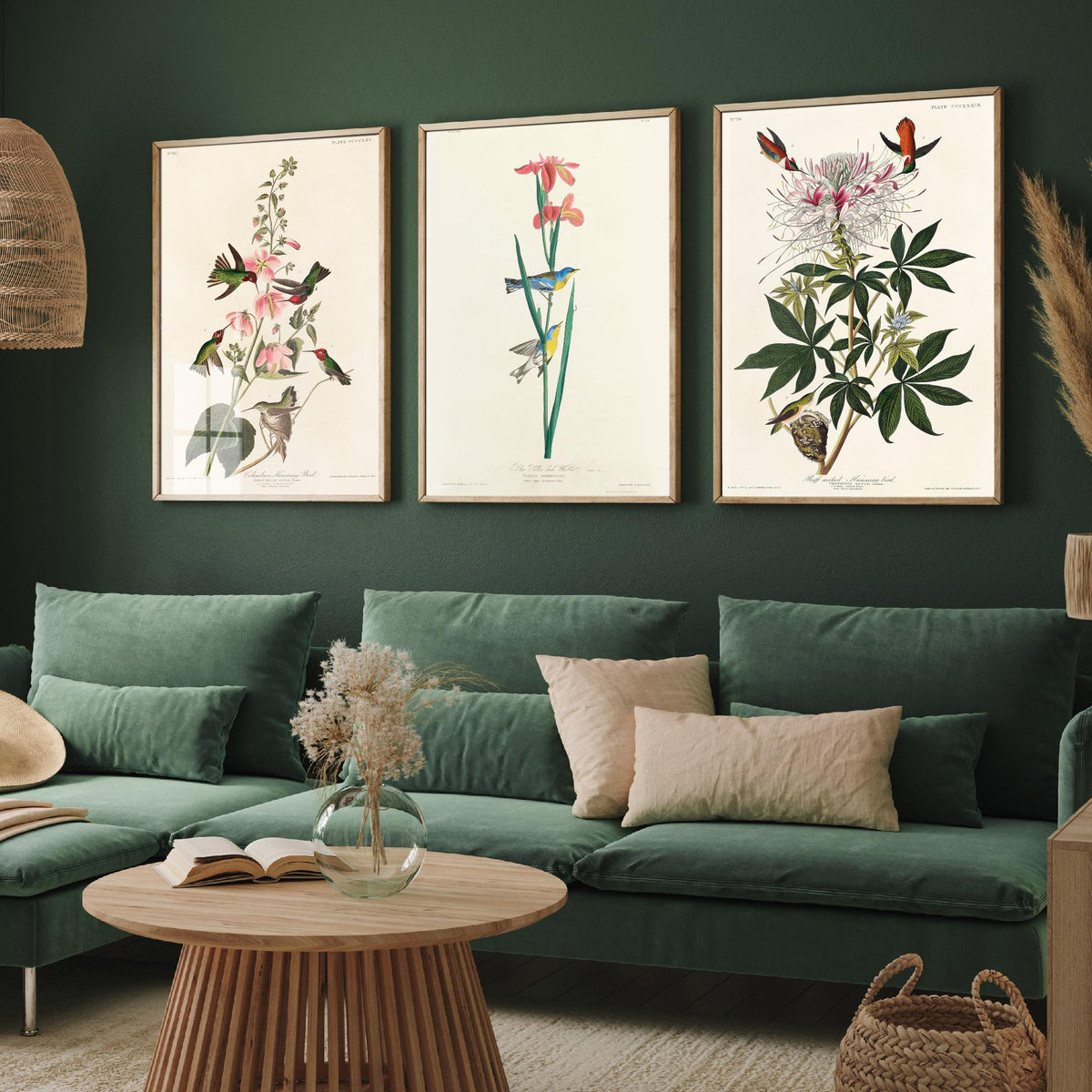 Set of Three Audubon Prints - Columbian Ruff-necked Hummingbirds Yellow-backed Warbler - 3 Bird Paintings Poster Wall Art Illustration
