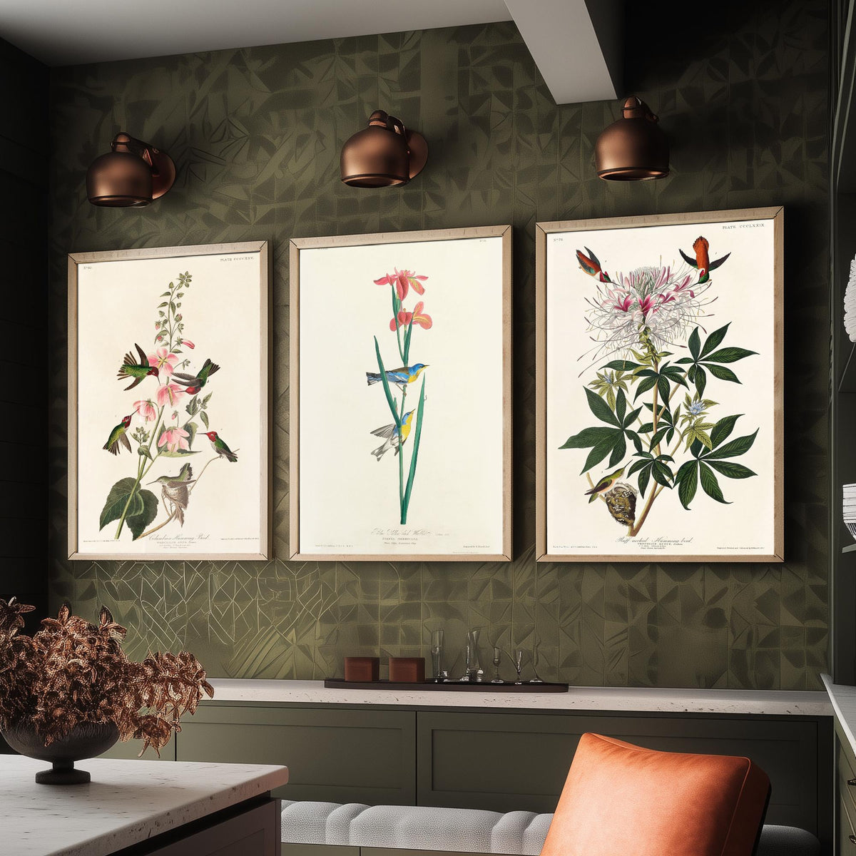 Set of Three Audubon Prints - Columbian Ruff-necked Hummingbirds Yellow-backed Warbler - 3 Bird Paintings Poster Wall Art Illustration