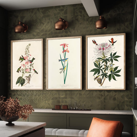 Set of Three Audubon Prints - Columbian Ruff-necked Hummingbirds Yellow-backed Warbler - 3 Bird Paintings Poster Wall Art Illustration