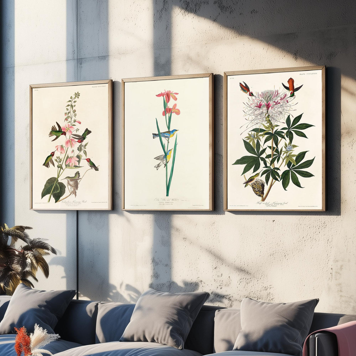 Set of Three Audubon Prints - Columbian Ruff-necked Hummingbirds Yellow-backed Warbler - 3 Bird Paintings Poster Wall Art Illustration