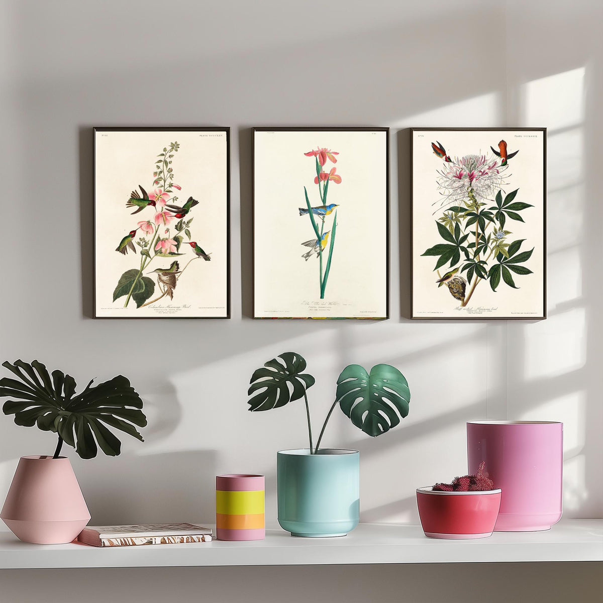 Set of Three Audubon Prints - Columbian Ruff-necked Hummingbirds Yellow-backed Warbler - 3 Bird Paintings Poster Wall Art Illustration