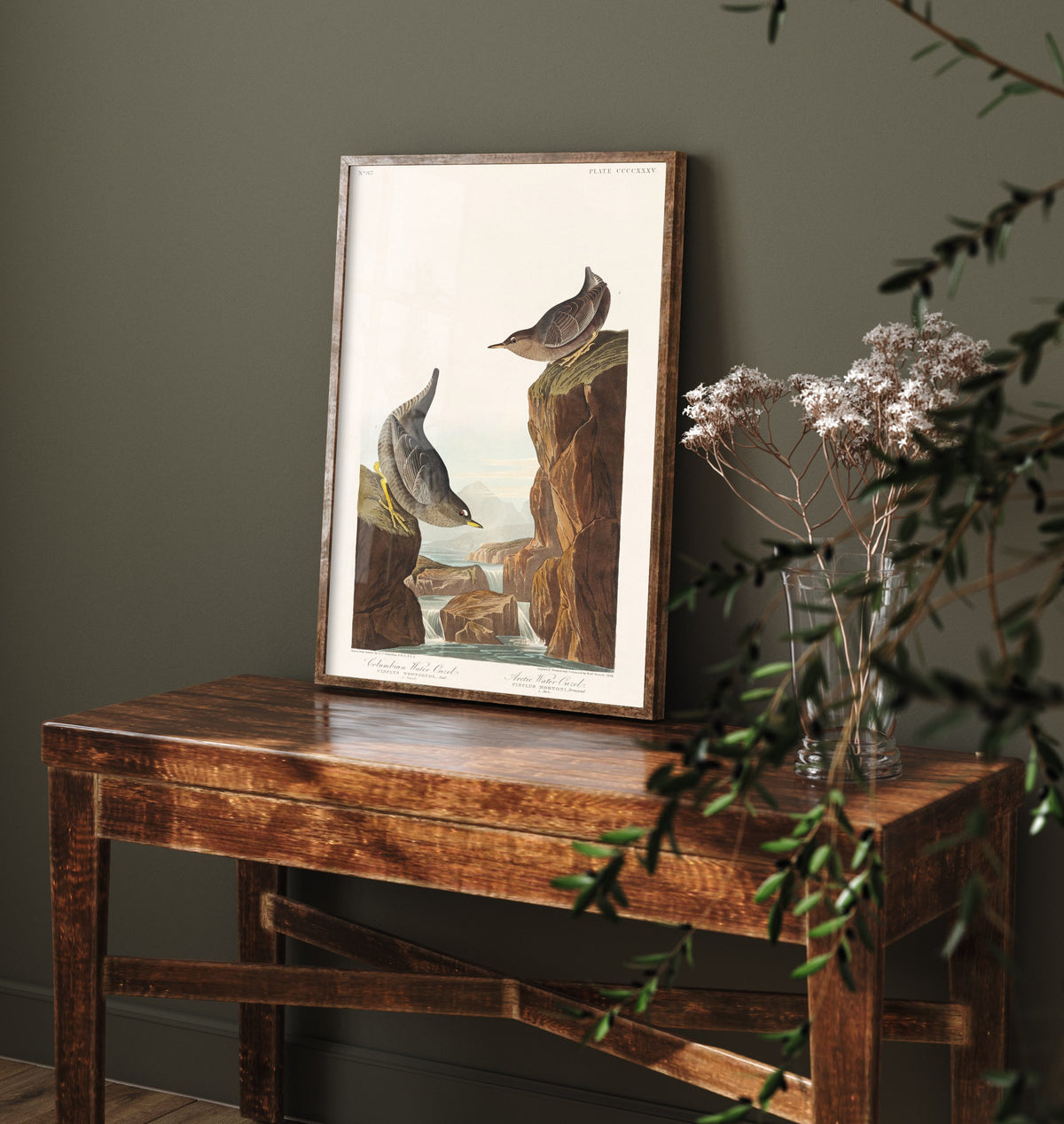 American Dipper Art Print - John James Audubon Poster - Birds of America Vintage Illustration