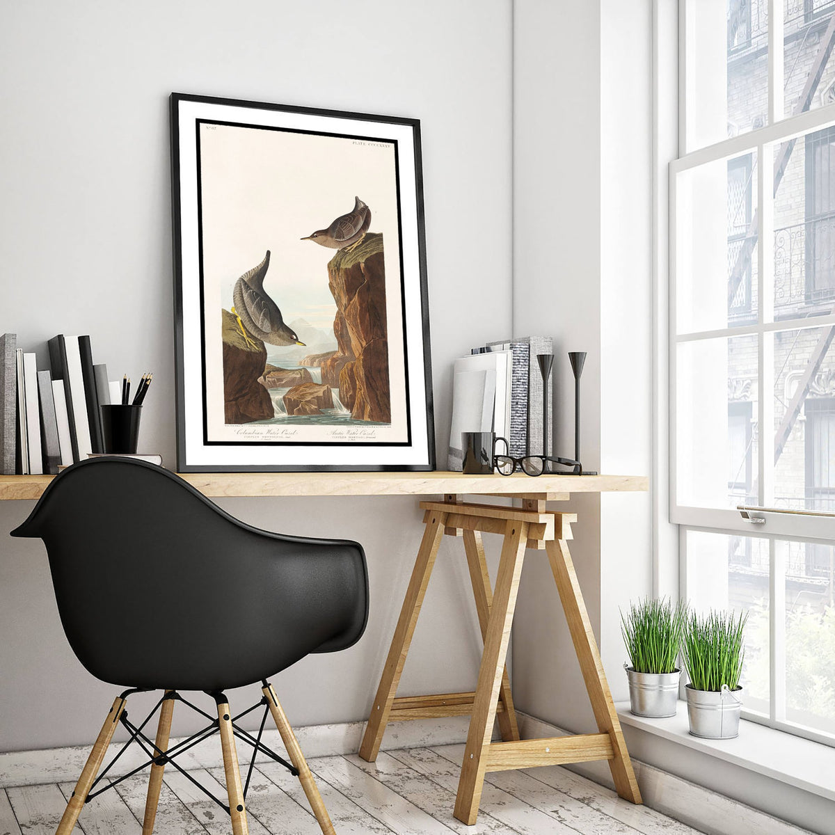 American Dipper Art Print - John James Audubon Poster - Birds of America Vintage Illustration