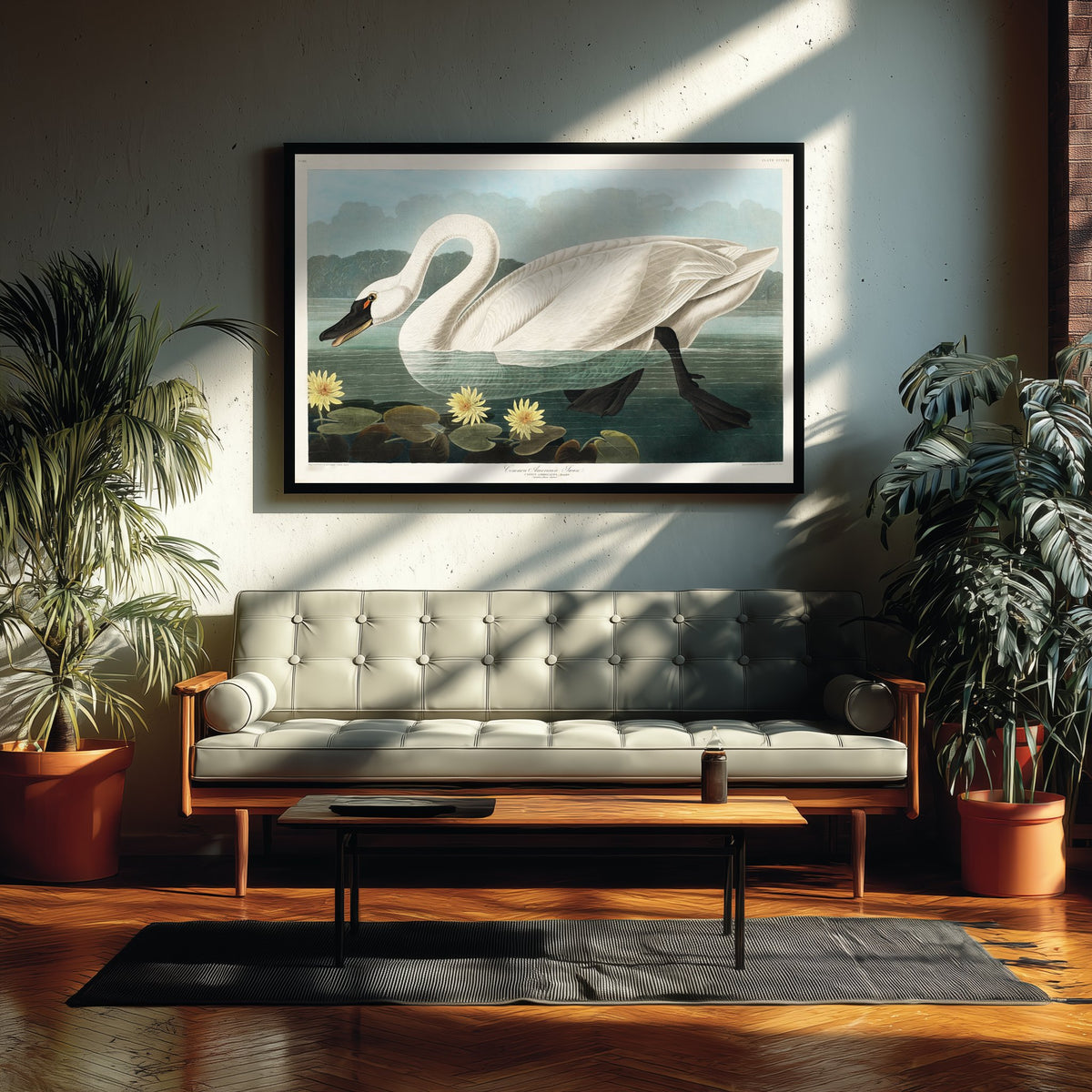 Tundra Swan Art Print - John James Audubon Poster - Birds of America Vintage Illustration