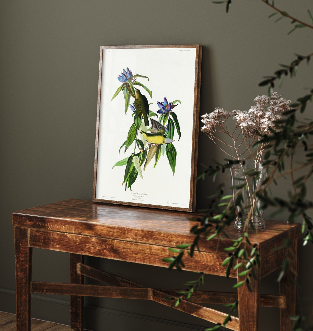 Connecticut Warbler Art Print - John James Audubon Poster - Birds of America Vintage Illustration