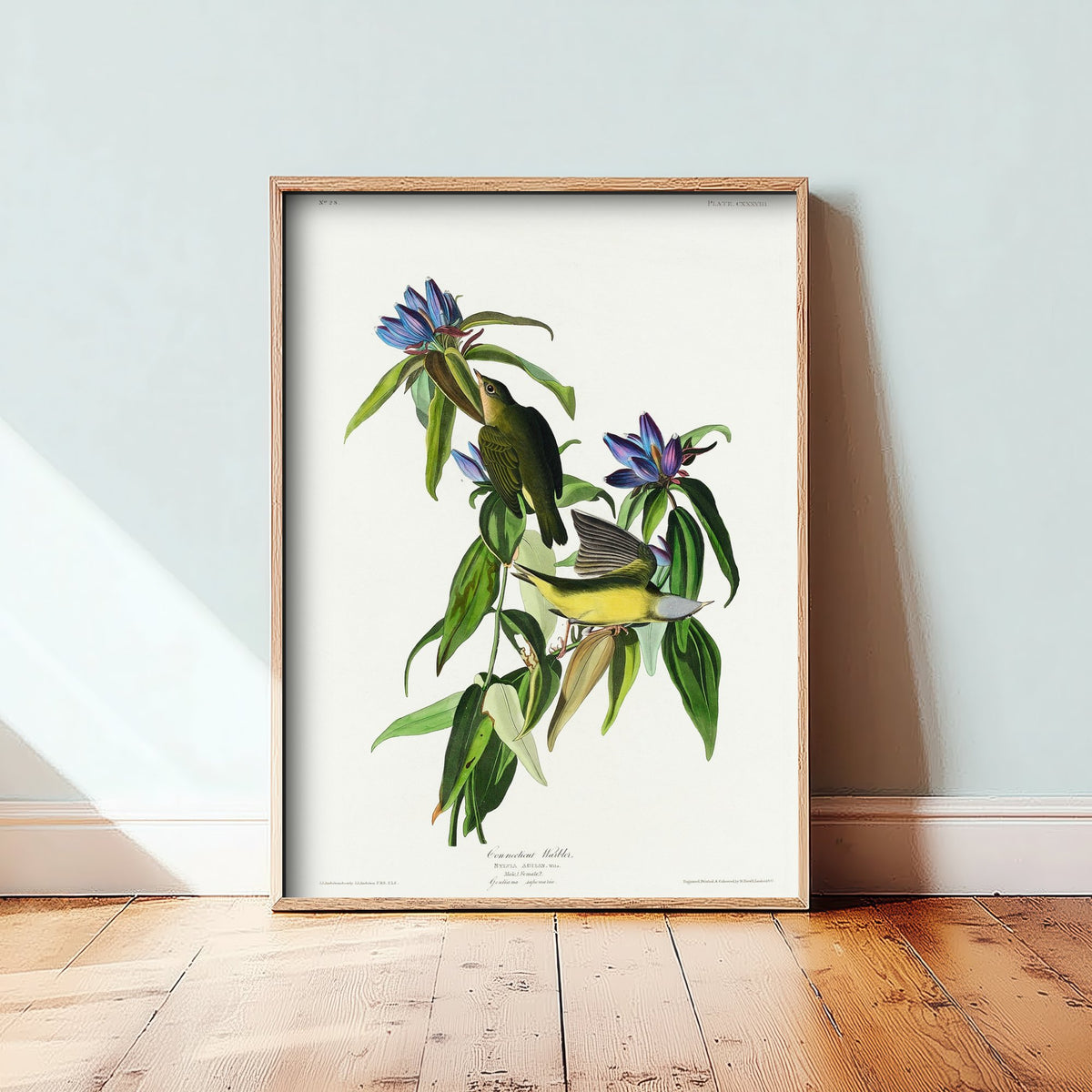 Connecticut Warbler Art Print - John James Audubon Poster - Birds of America Vintage Illustration