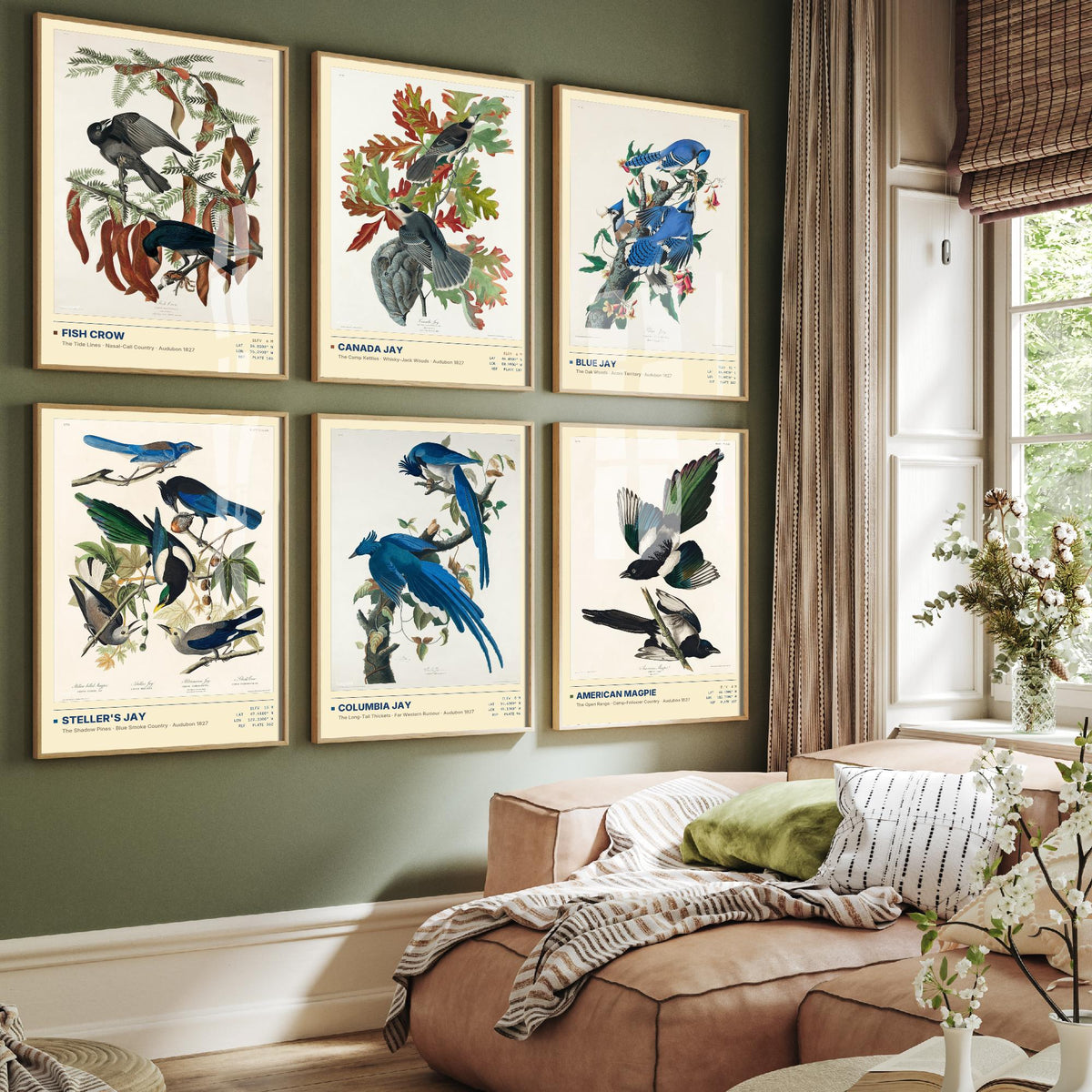 Set of Six Audubon Corvid Illustrations - 6 Blue Jay, Crow and Magpie Art Prints - Steller's Jay, Columbia Jay, Canada Jay Poster Set
