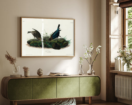 Brown-headed Cowbird Art Print - John James Audubon Poster - Birds of America Vintage Illustration