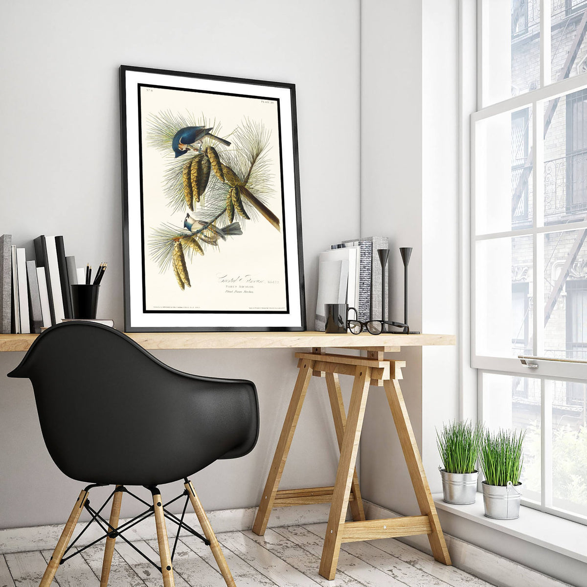 Tufted Titmouse Art Print - John James Audubon Poster - Birds of America Vintage Illustration