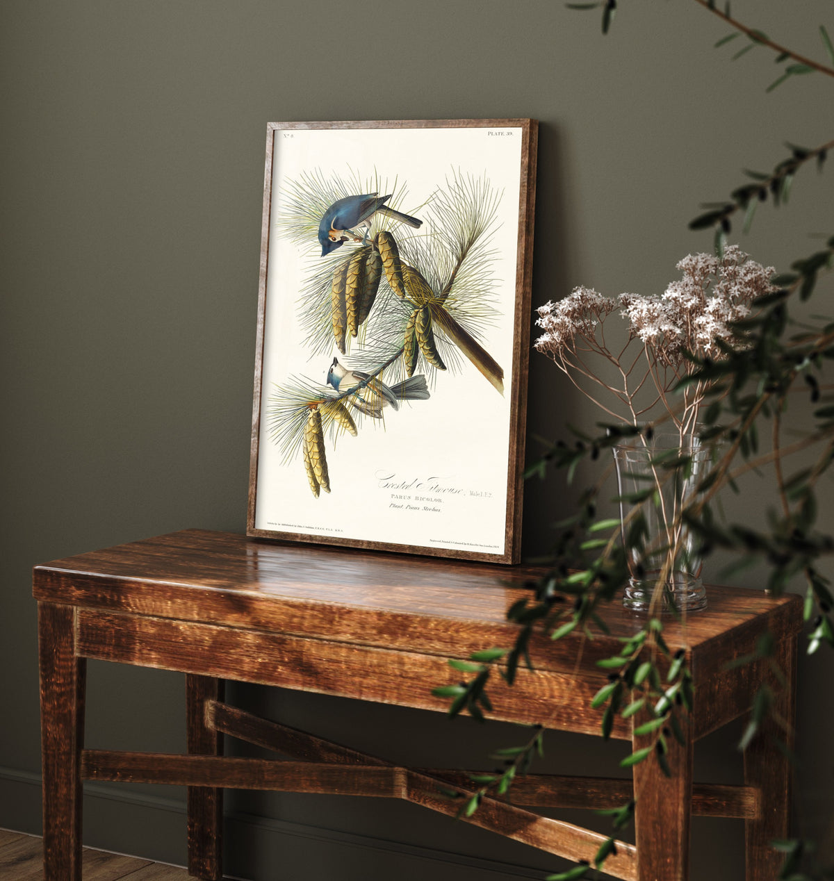 Tufted Titmouse Art Print - John James Audubon Poster - Birds of America Vintage Illustration