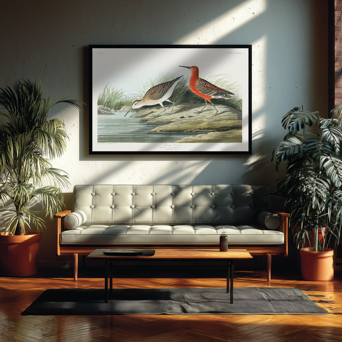 Curlew Sandpiper Art Print - John James Audubon Poster - Birds of America Vintage Illustration