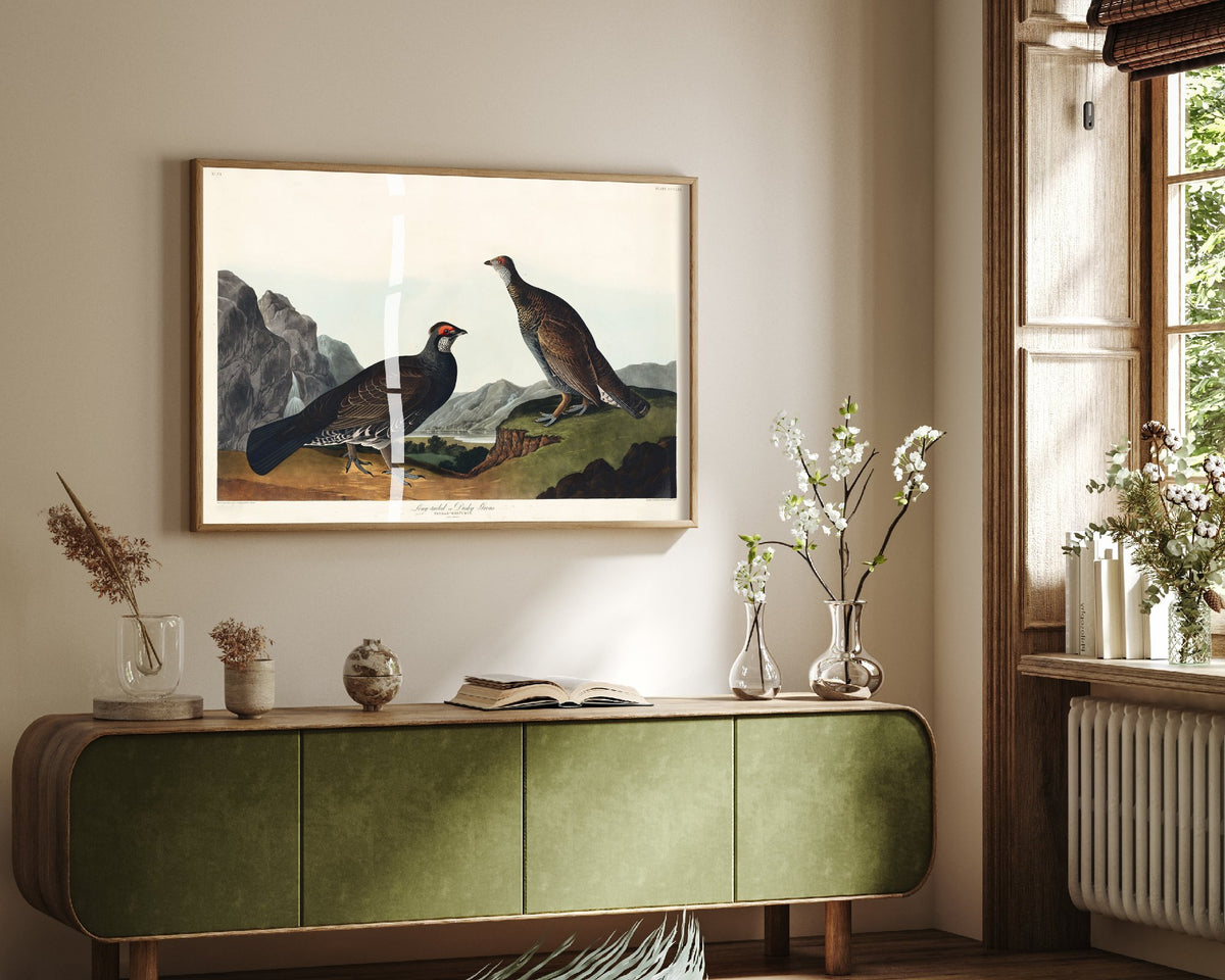 Dusky Grouse Art Print - John James Audubon Poster - Birds of America Vintage Illustration