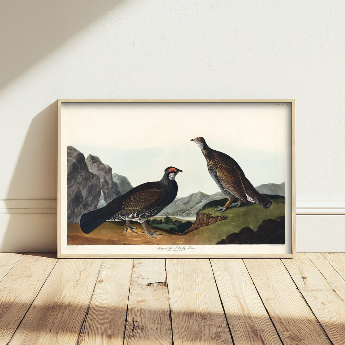 Dusky Grouse Art Print - John James Audubon Poster - Birds of America Vintage Illustration