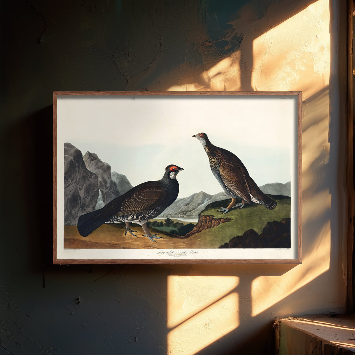 Dusky Grouse Art Print - John James Audubon Poster - Birds of America Vintage Illustration