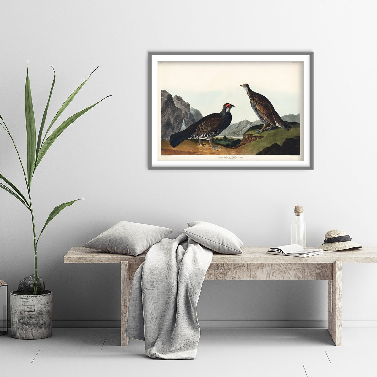 Dusky Grouse Art Print - John James Audubon Poster - Birds of America Vintage Illustration