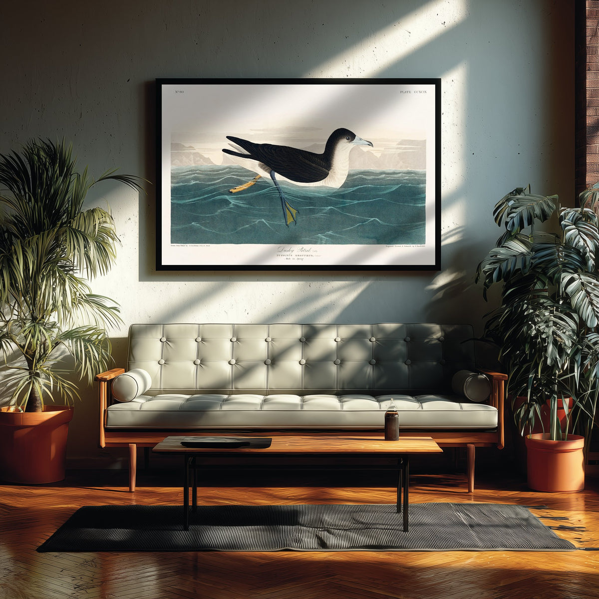 Audubon's Shearwater Art Print - John James Audubon Poster - Birds of America Vintage Illustration