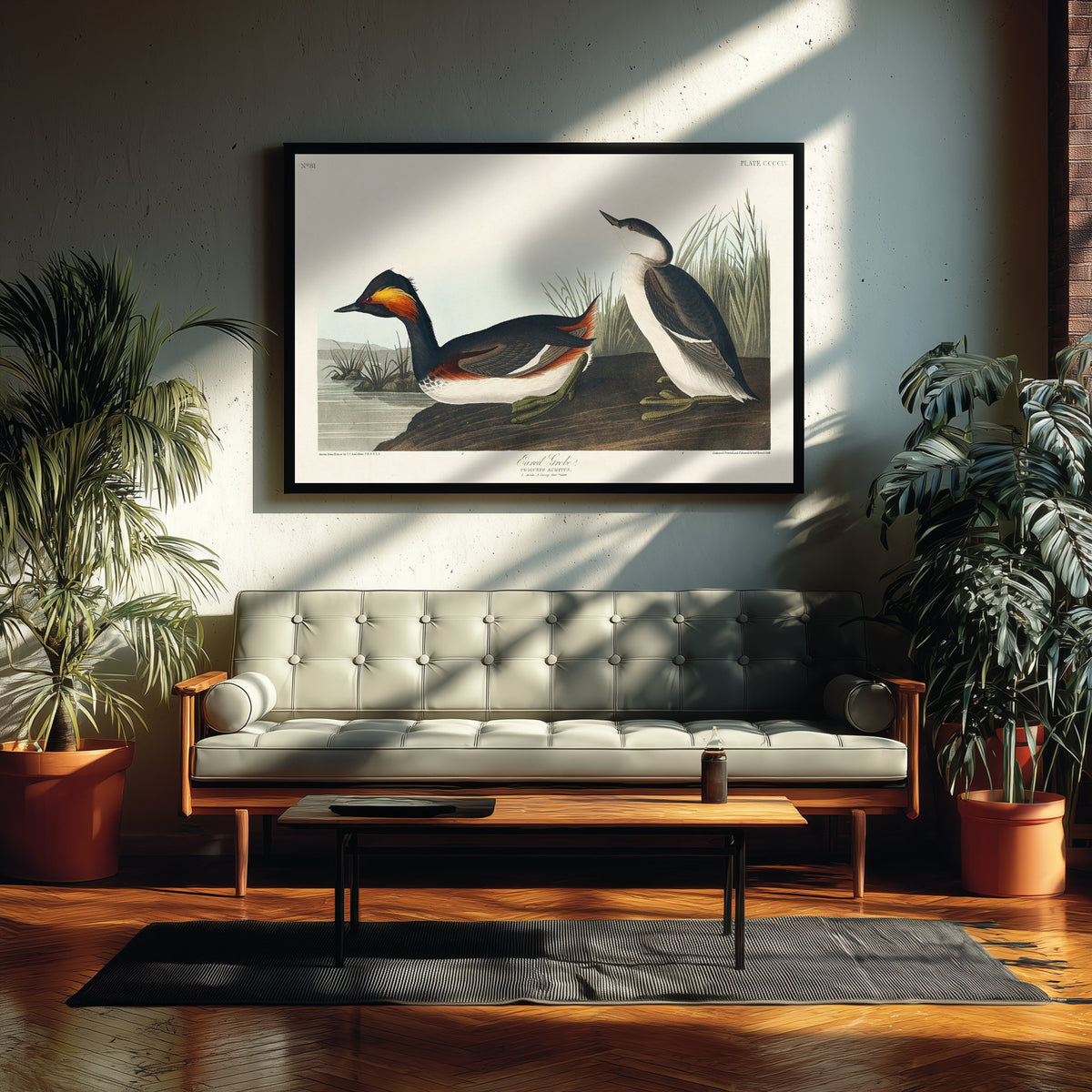 Eared Grebe Breeding Plumage Art Print - John James Audubon Poster - Birds of America Illustration