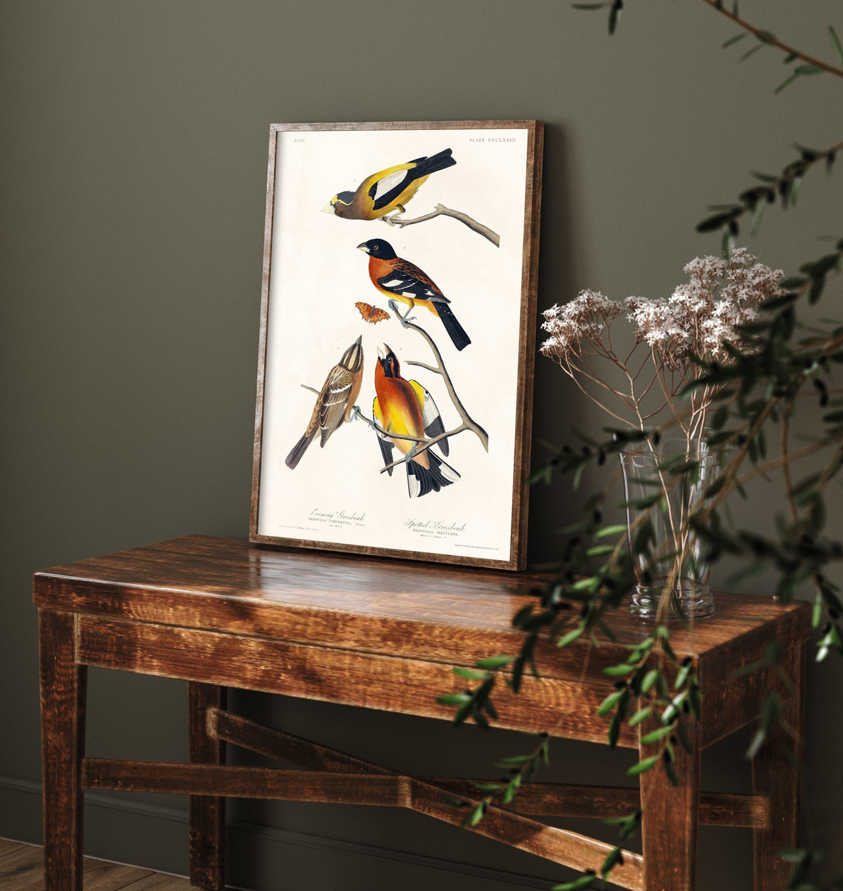 Evening Grosbeak Art Print - John James Audubon Poster - Birds of America Vintage Illustration