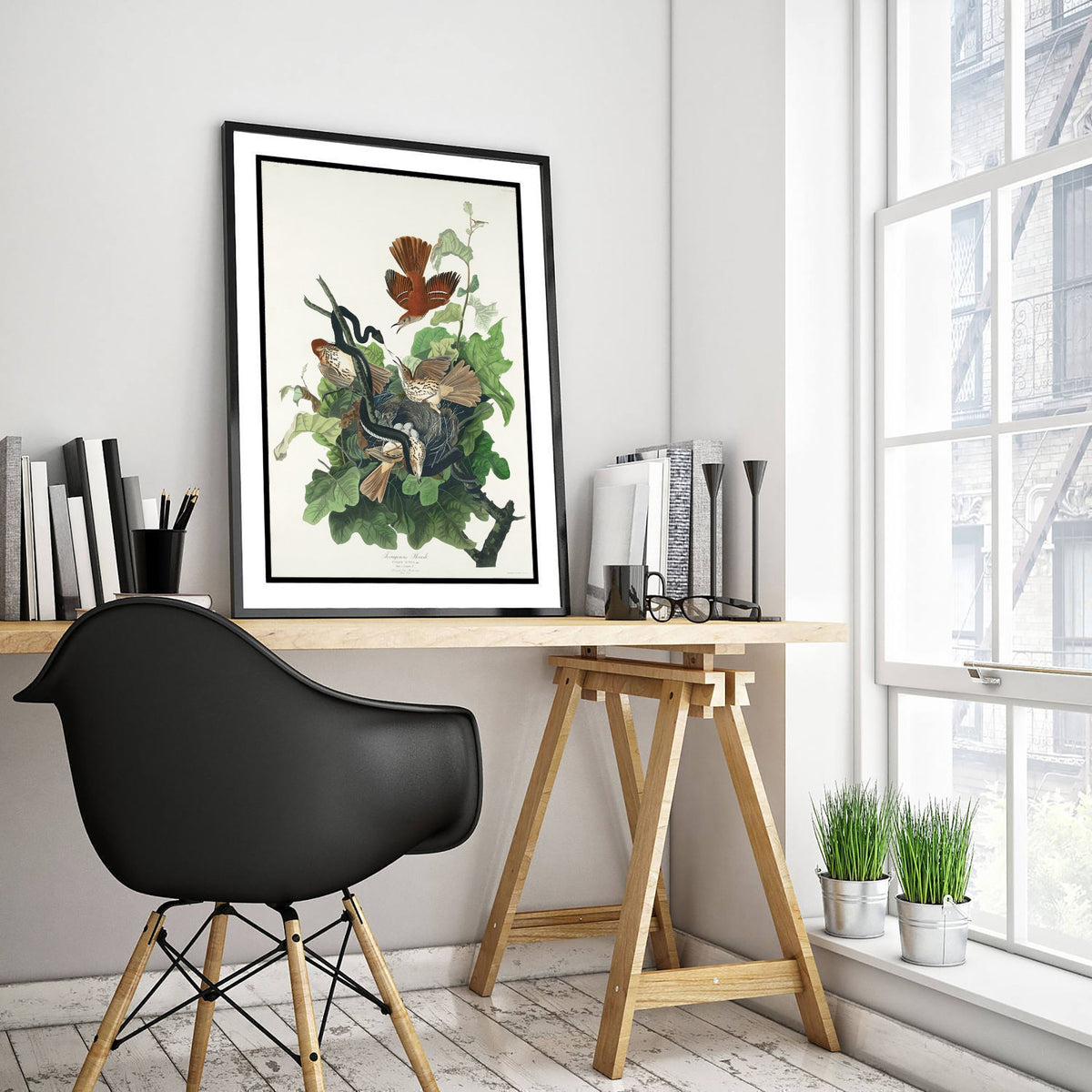 Brown Thrasher Art Print - John James Audubon Poster - Birds of America Vintage Illustration