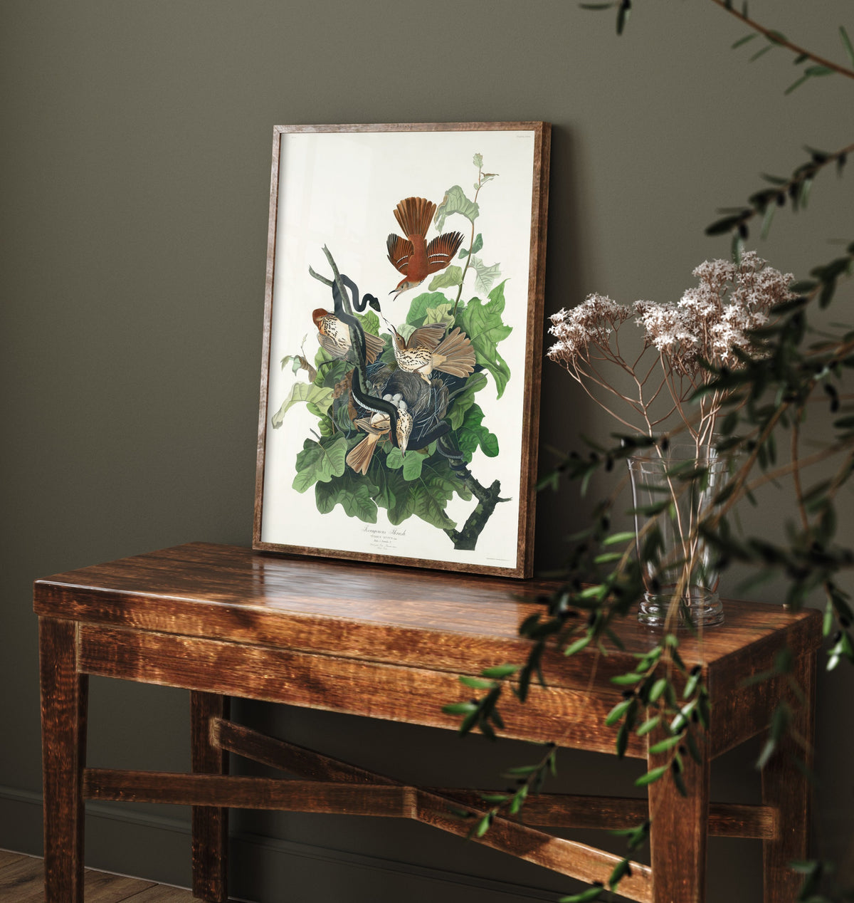 Brown Thrasher Art Print - John James Audubon Poster - Birds of America Vintage Illustration