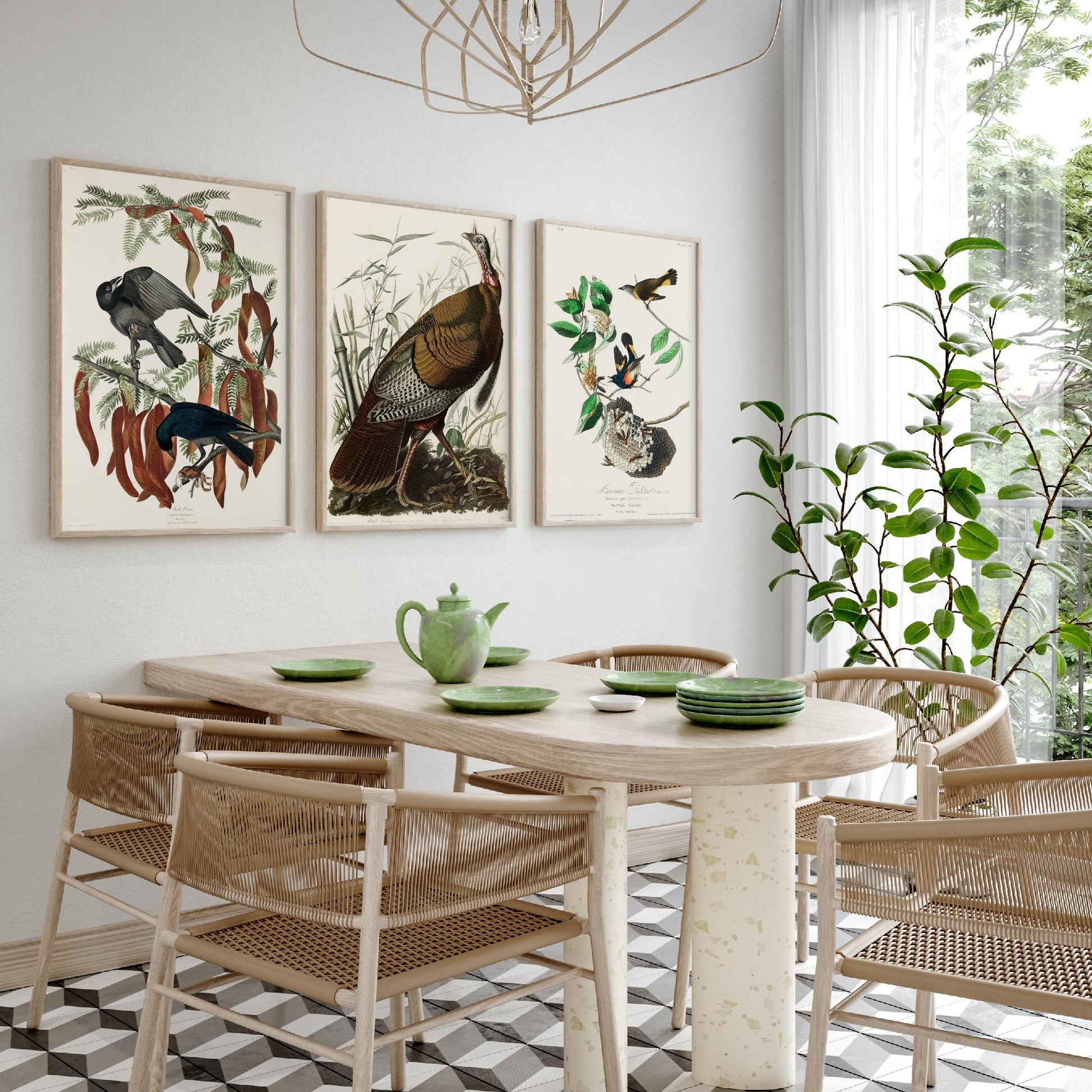 John James Audubon Set of Three Art Prints - Fish Crow, Wild Turkey, American Redstart - 3 Vintage Bird Illustration Posters
