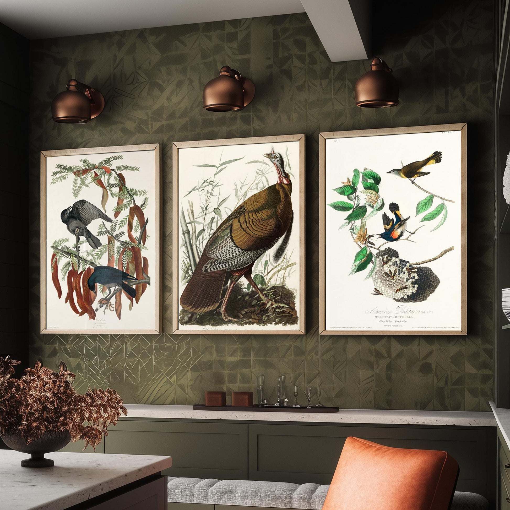 John James Audubon Set of Three Art Prints - Fish Crow, Wild Turkey, American Redstart - 3 Vintage Bird Illustration Posters