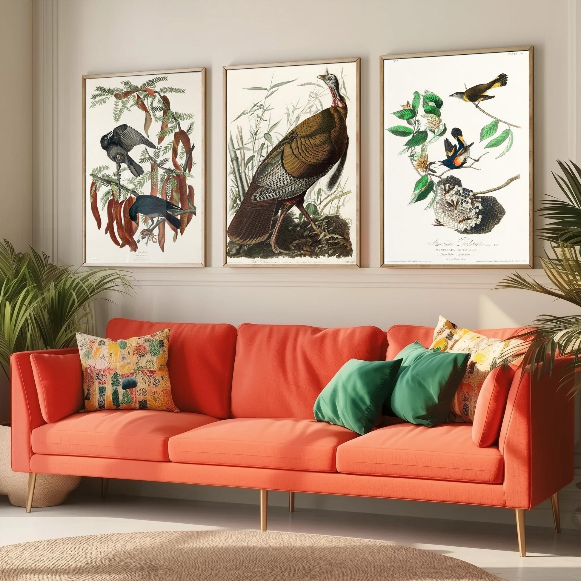 John James Audubon Set of Three Art Prints - Fish Crow, Wild Turkey, American Redstart - 3 Vintage Bird Illustration Posters
