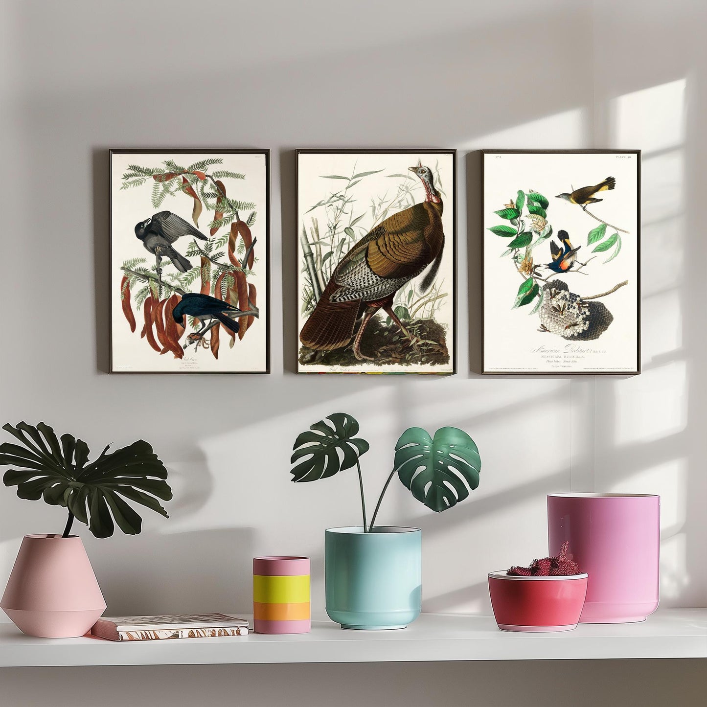 John James Audubon Set of Three Art Prints - Fish Crow, Wild Turkey, American Redstart - 3 Vintage Bird Illustration Posters