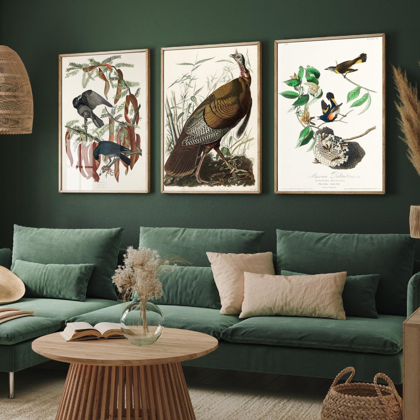John James Audubon Set of Three Art Prints - Fish Crow, Wild Turkey, American Redstart - 3 Vintage Bird Illustration Posters