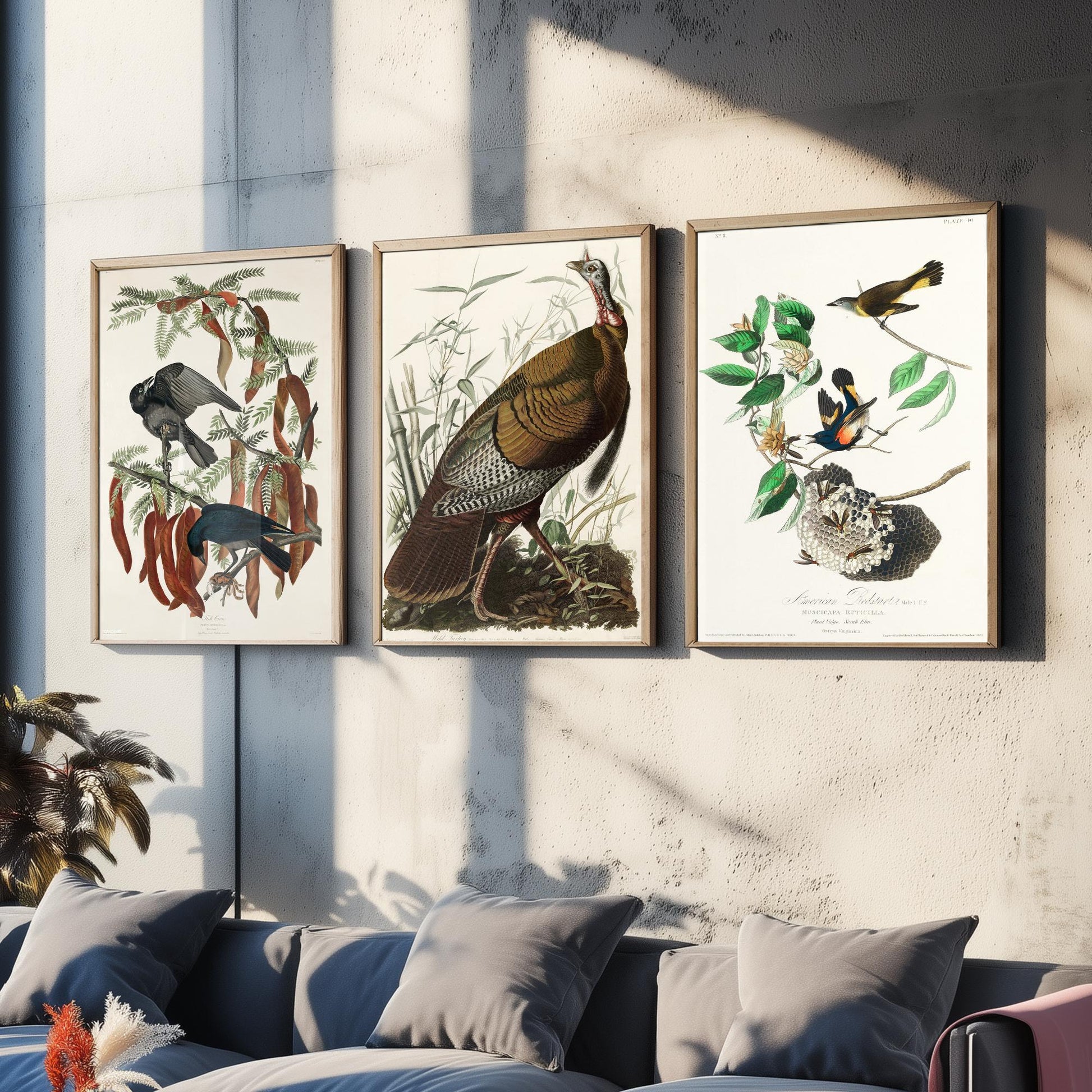 John James Audubon Set of Three Art Prints - Fish Crow, Wild Turkey, American Redstart - 3 Vintage Bird Illustration Posters