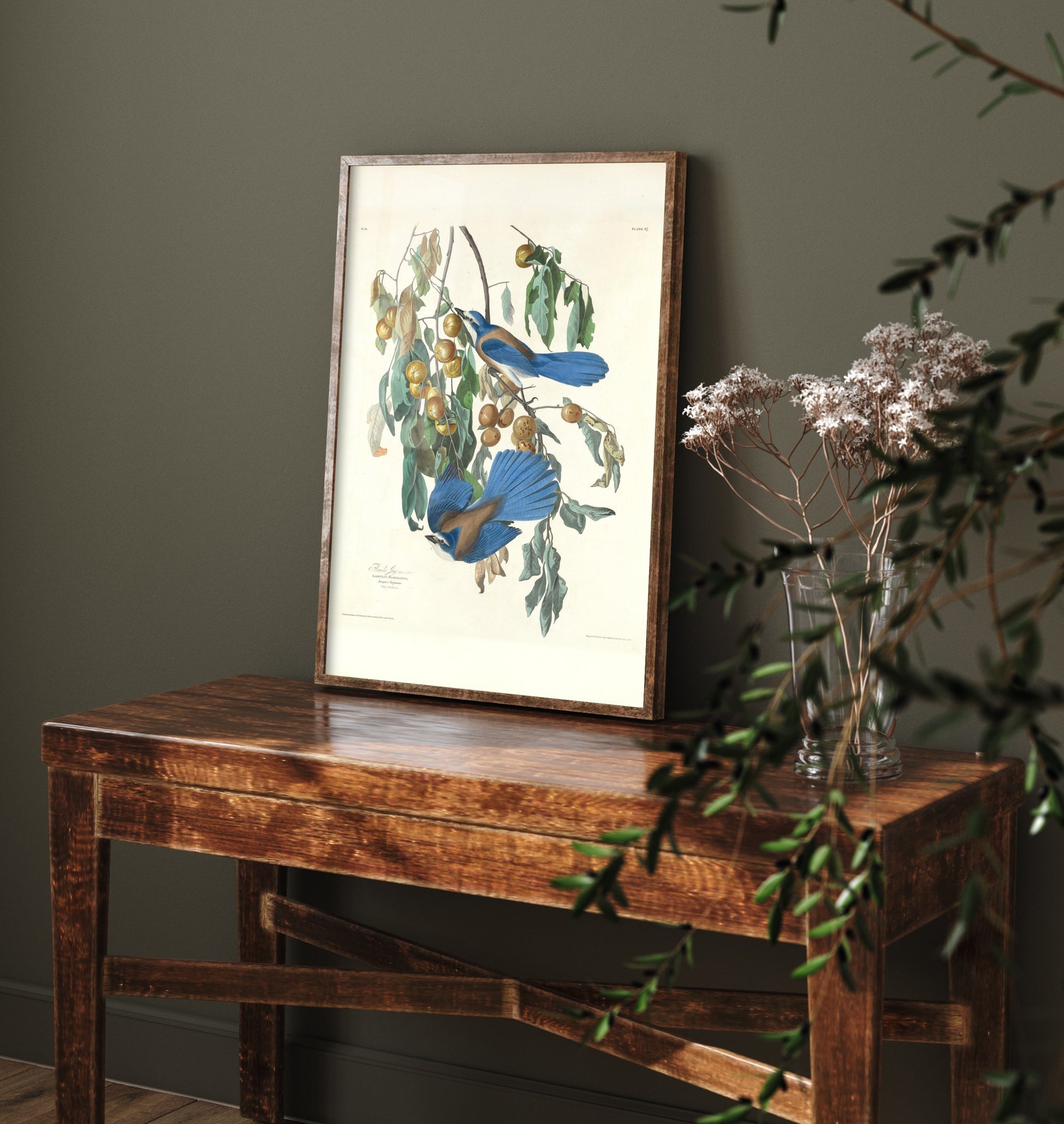 John James Audubon - Florida Jays - Classic Painting Art Print - Birds of America Poster - Blue Jays 1/3