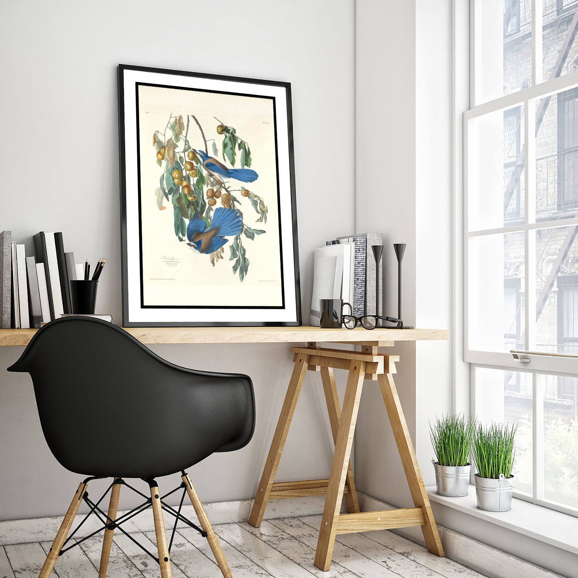 John James Audubon - Florida Jays - Classic Painting Art Print - Birds of America Poster - Blue Jays 1/3