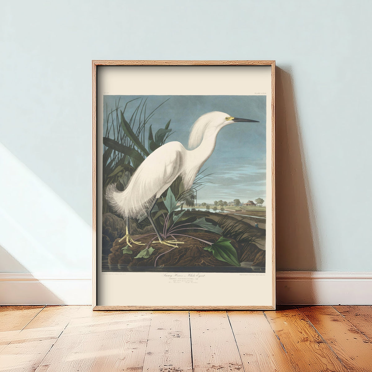 John James Audubon - Snowy Heron - Classic Painting Art Print - Birds of America Poster - White Egret 2/3