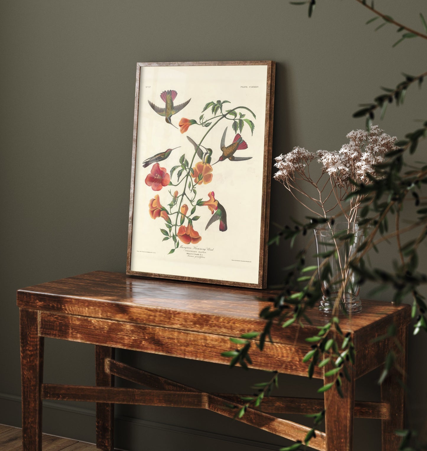 John James Audubon - Mangrove Hummingbird - Classic Painting Art Print - Birds of America Poster - Flowers 3/3