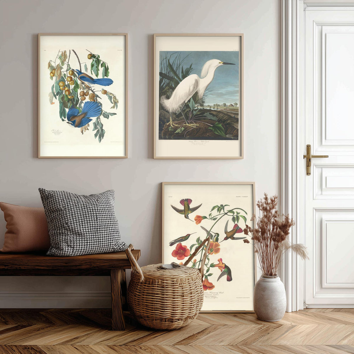 Set of Three John James Audubon Florida Prints - Florida Jays Snowy Heron Mangrove Hummingbird - 3 Bird Painting Posters Wall Art Gift Decor