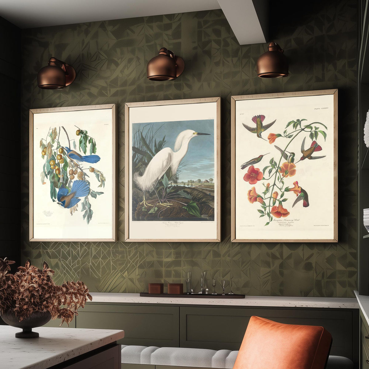 Set of Three John James Audubon Florida Prints - Florida Jays Snowy Heron Mangrove Hummingbird - 3 Bird Painting Posters Wall Art Gift Decor